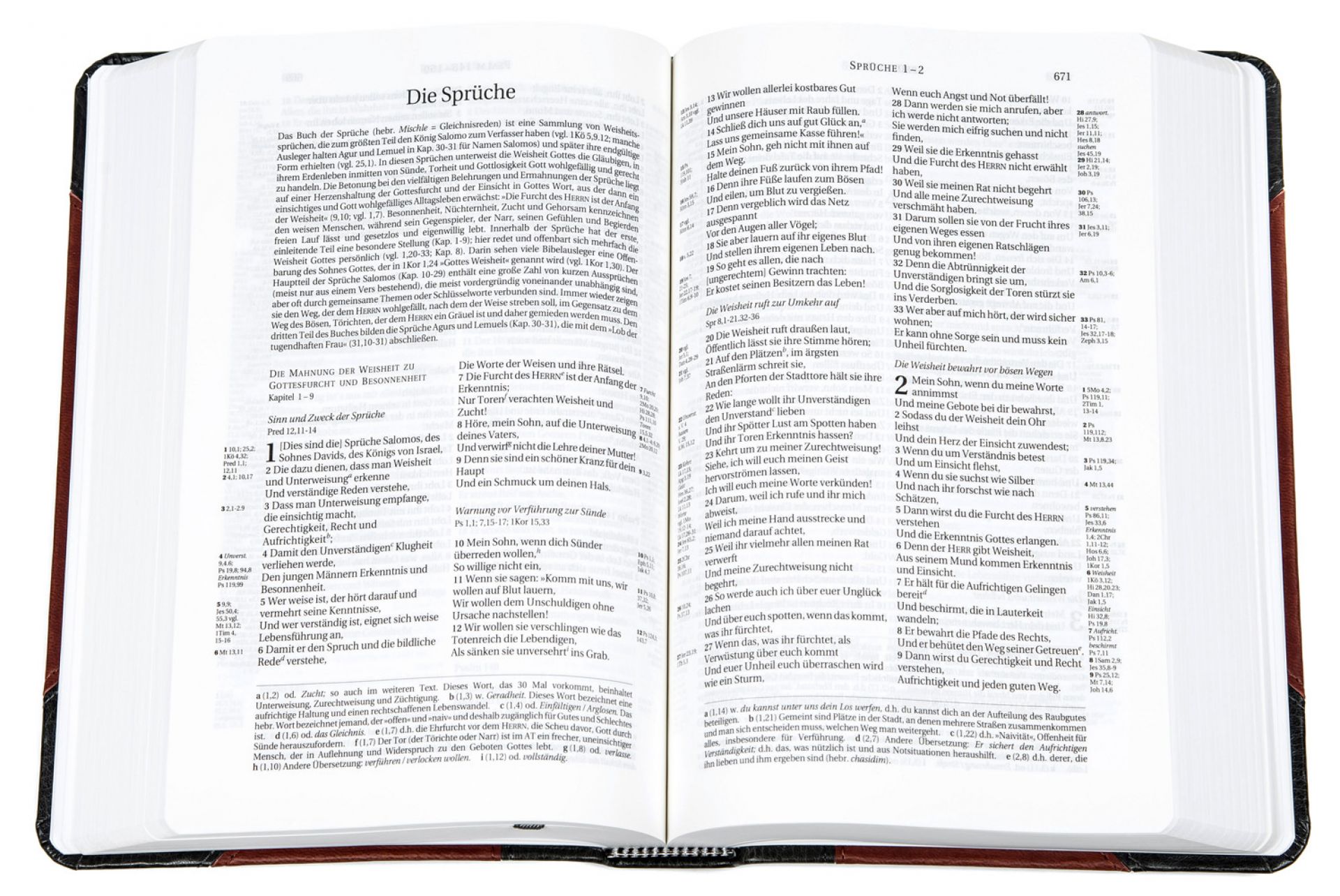 Schlachter 2000 Bibel - Taschenausgabe (Softcover, grau/braun) – Bild 4